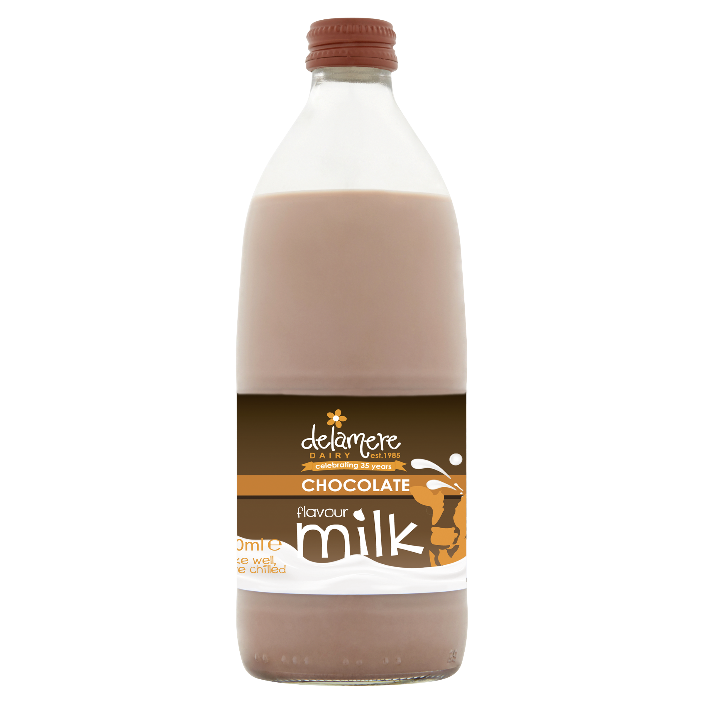 Delamere Dairy Chocolate Flavoured Milk - 500ml