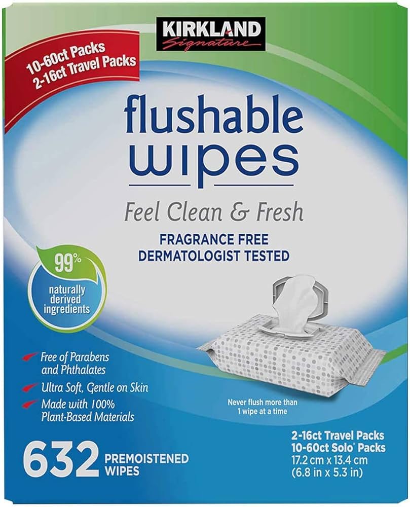 Kirkland Signature Moist Flushable Wipes - 640 Count