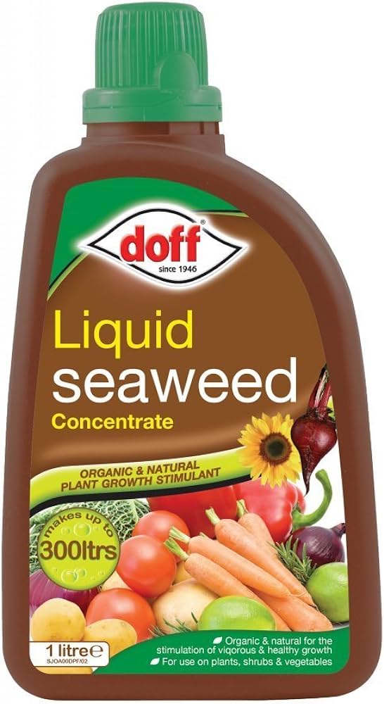 Doff Liquid Seaweed - 1L